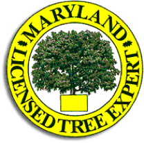 Maryland Licensed Tree Expert